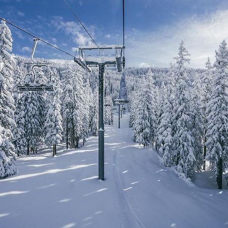 شقة لا روزيير  في Chalet Les Clarines المظهر الخارجي الصورة