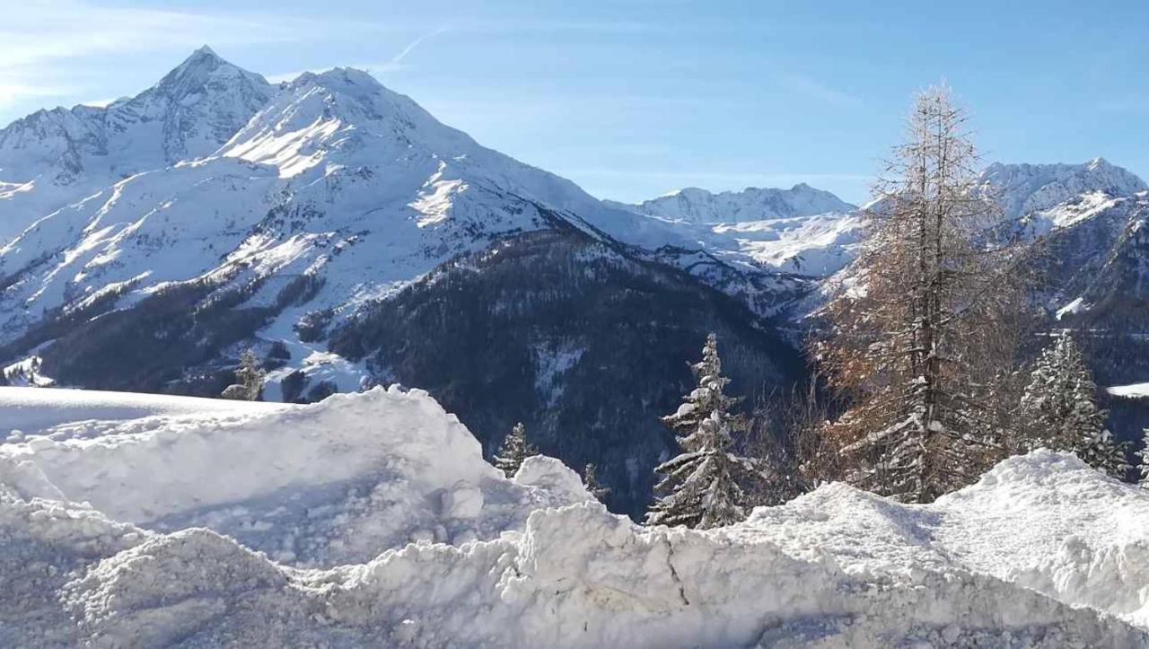 شقة لا روزيير  في Chalet Les Clarines المظهر الخارجي الصورة